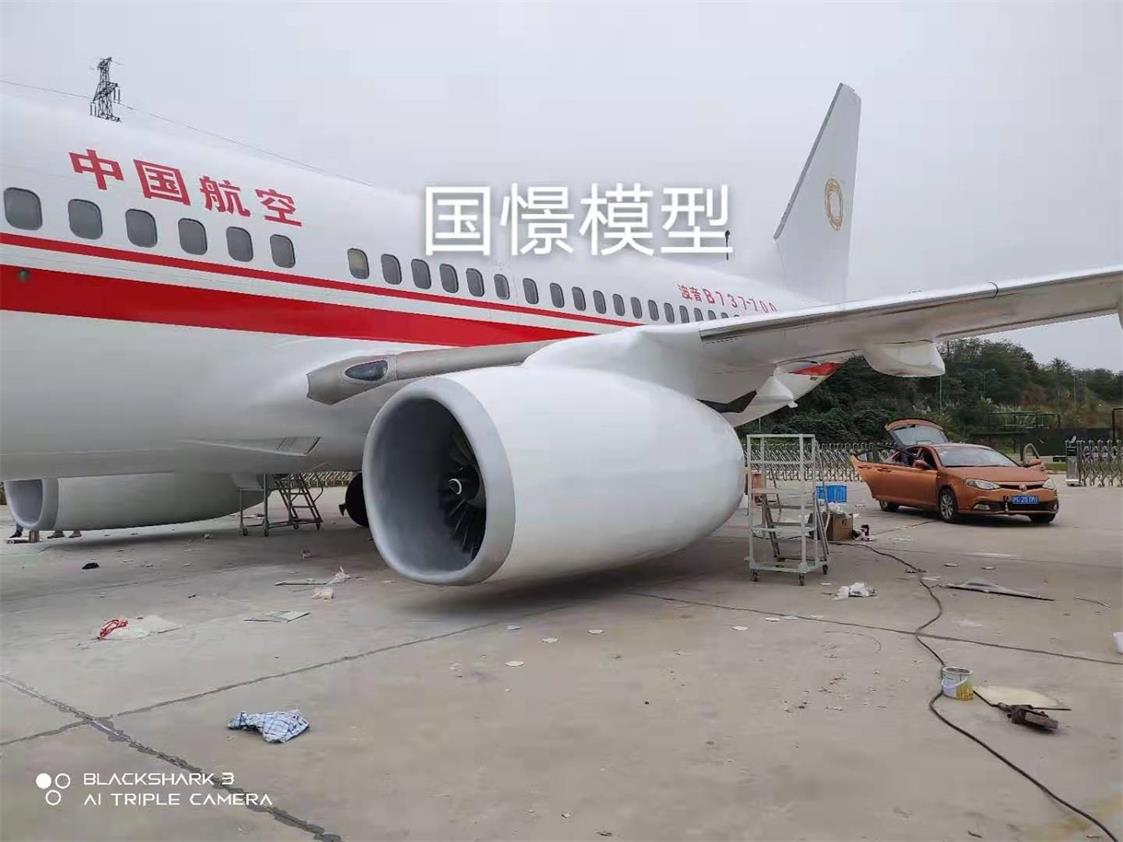 京山市飞机模型